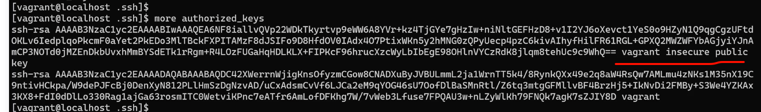 default insecure public key.png